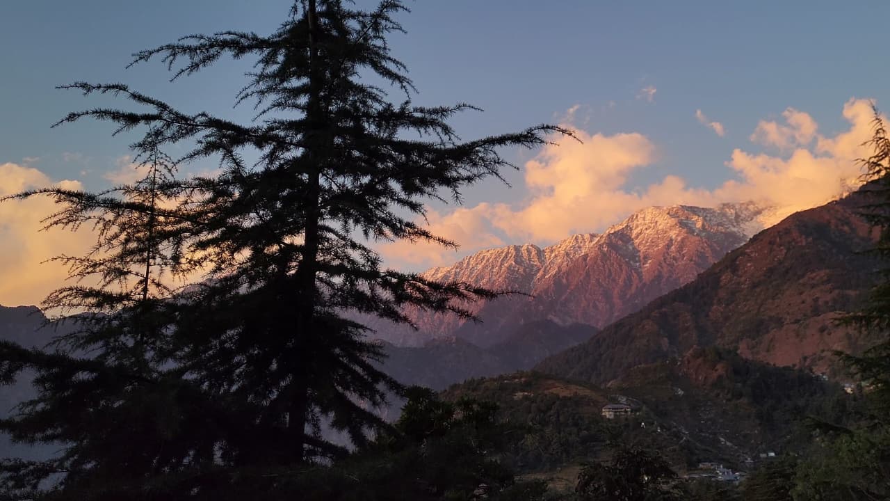 Srishti Homestay, Naddi: My Go-To Stay in Dharamshala